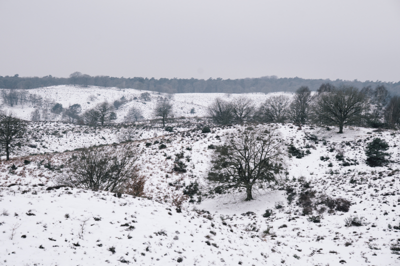 2-daagse-wandelroute-eerbeek-posbank