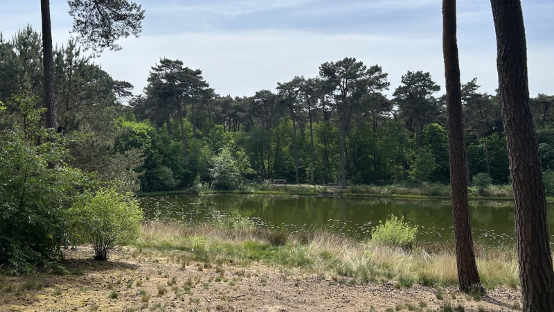 2-daagse-wandelroute-in-brabant
