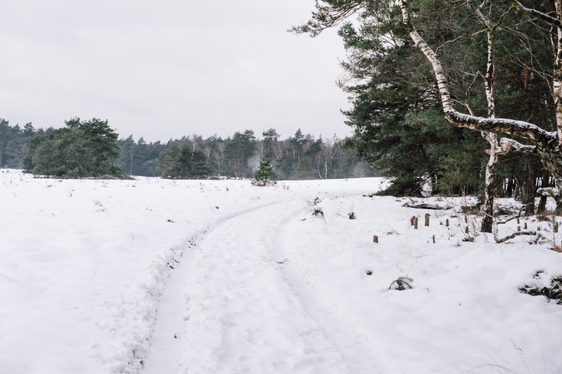 2-daagse-wandeltocht-eerbeek-hallse-hul