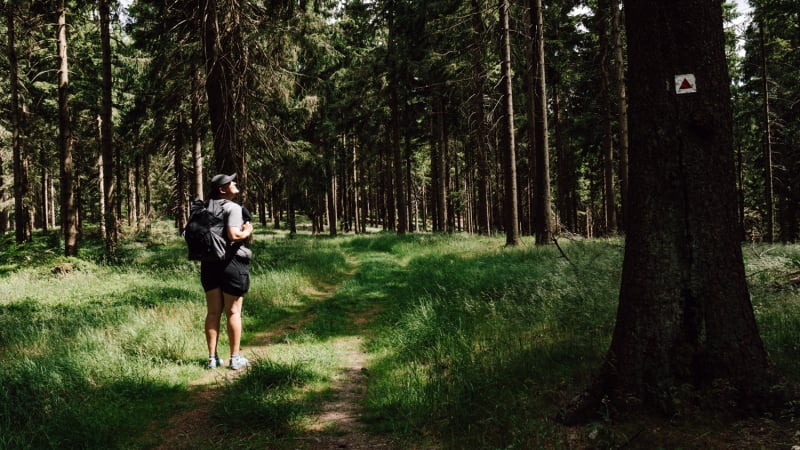 2-daagse-wandeltocht-gipfelwanderweg-suhl