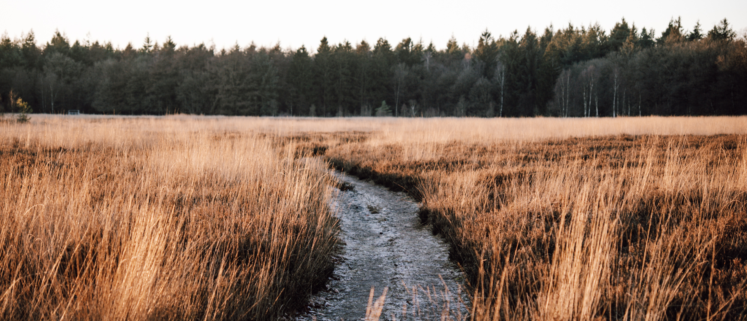 2-daagse wandeltocht naar Natuurkampeerterrein Borger