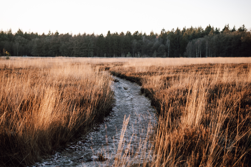 2-daagse wandelroute met overnachting in Nederland