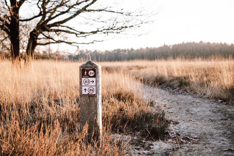 2-daagse-wandeltocht-wandelknooppunten-borger