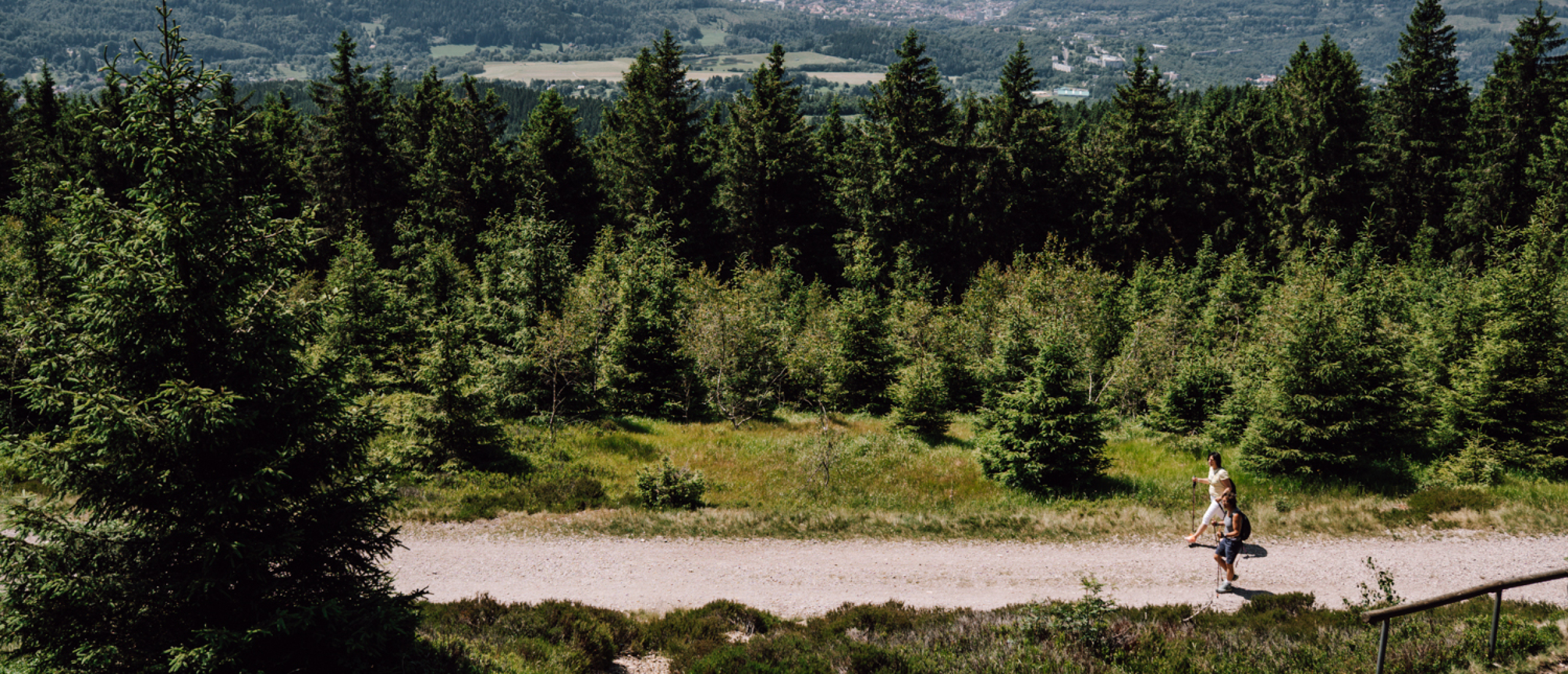 2 dagen wandelen op de Rennsteig in Duitsland