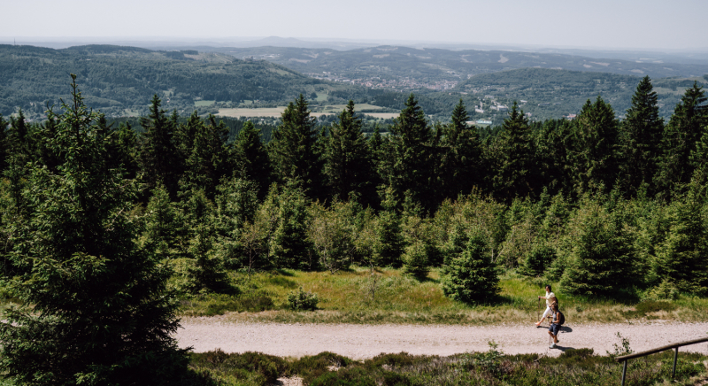 2-dagen-wandelen-rennsteig