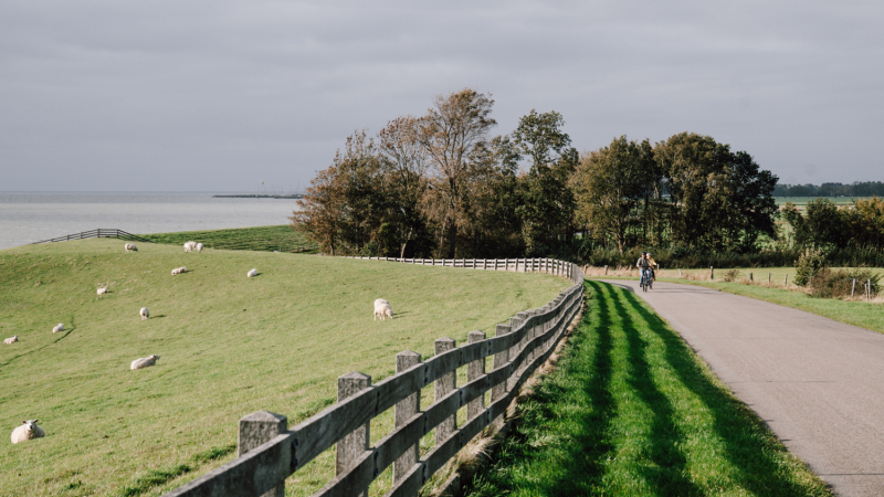 3-daagse-route-zuidwest-friesland-fietsen