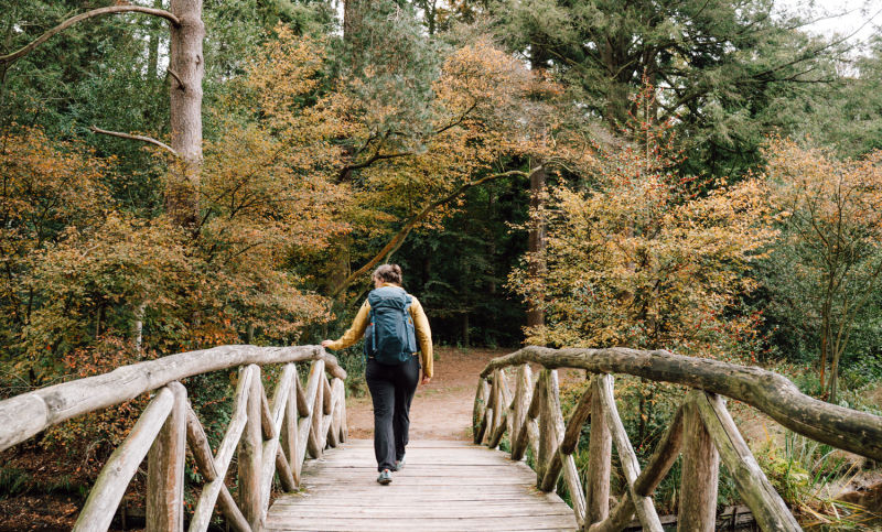 3-daagse-wandelroute-zuidwest-friesland-herfst