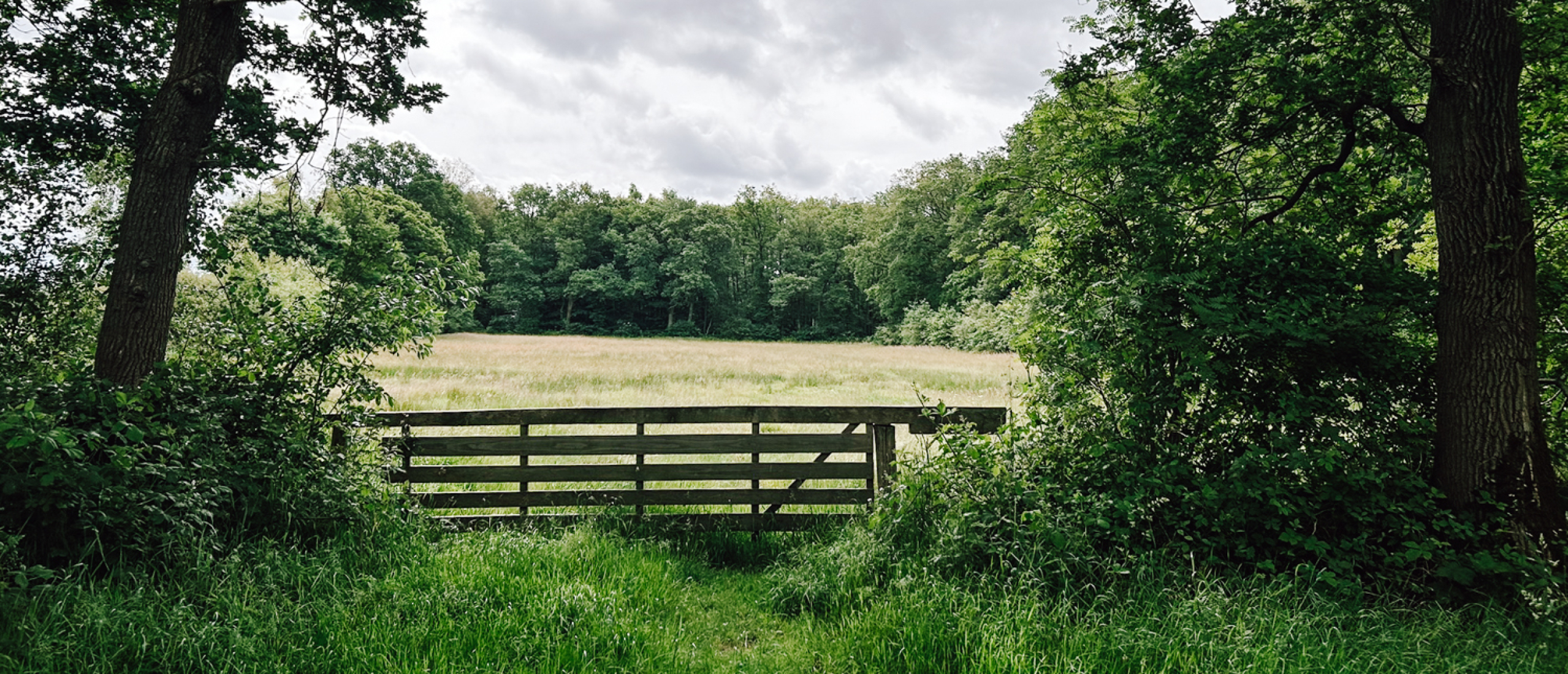 3-daagse wandeltocht in NP Drentsche Aa