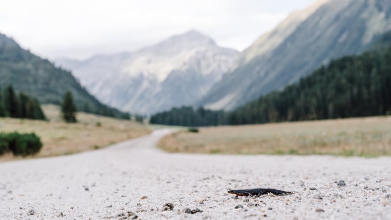 3-daagse-weibsbilder-tour