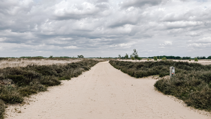 3-dagen-wandelen-Drentsche-aa