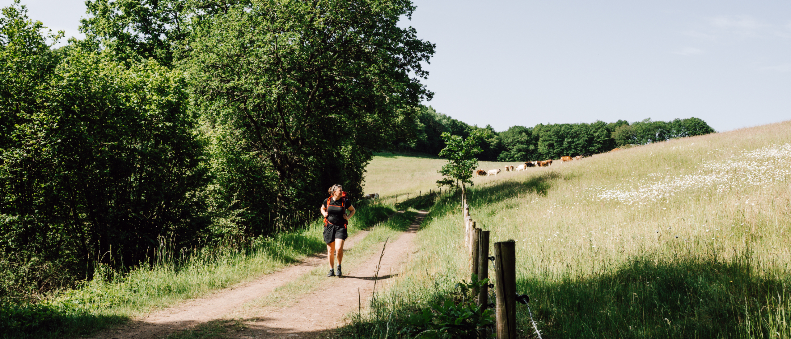 3 dagen wandelen op de Eifelsteig