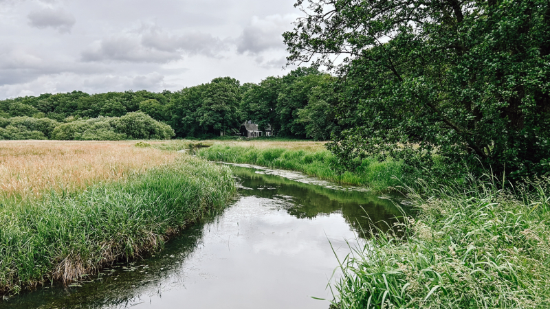 3-dagen-wandelroute-drentsche-aa