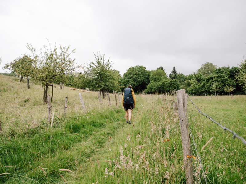 3 dagen op wandelweekend bij Keulen 3 dagen op wandelweekend bij Keulen