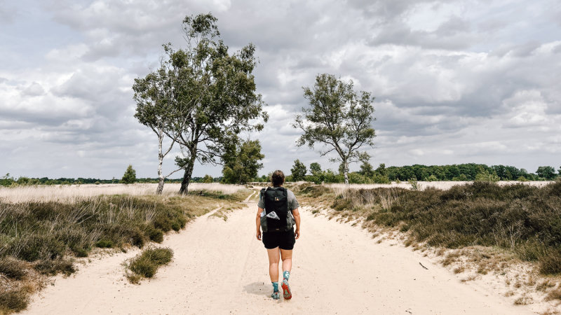 4-daagse-hike-drenthe-balloerveld