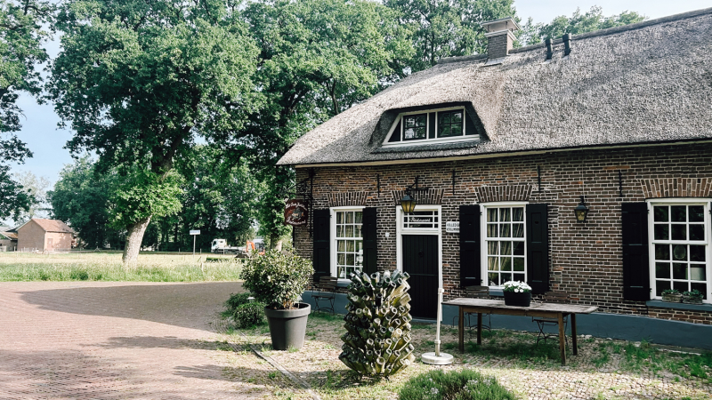 4-daagse-hike-drenthe-met-openbaar-vervoer