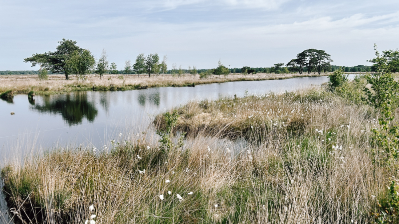 4-daagse-hike-met-kamperen-drenthe