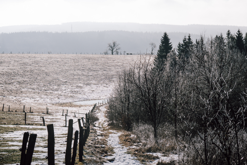 4 dagen op de Rothaarsteig in Sauerland 4 dagen op de Rothaarsteig in Sauerland