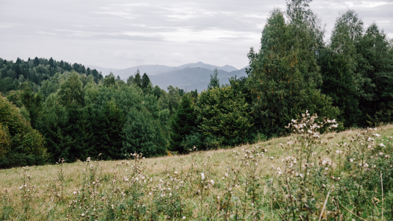 5-daagse-solohike-Malopolska
