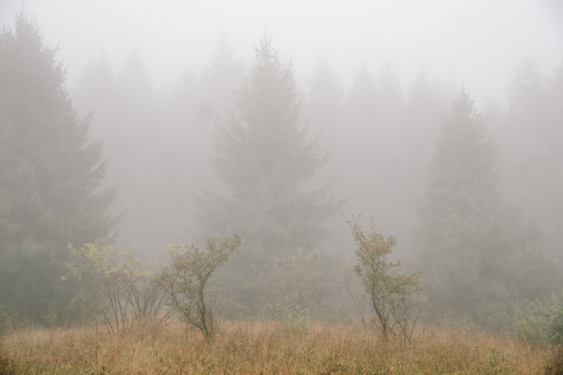 5-daagse-solohike-zuid-polen