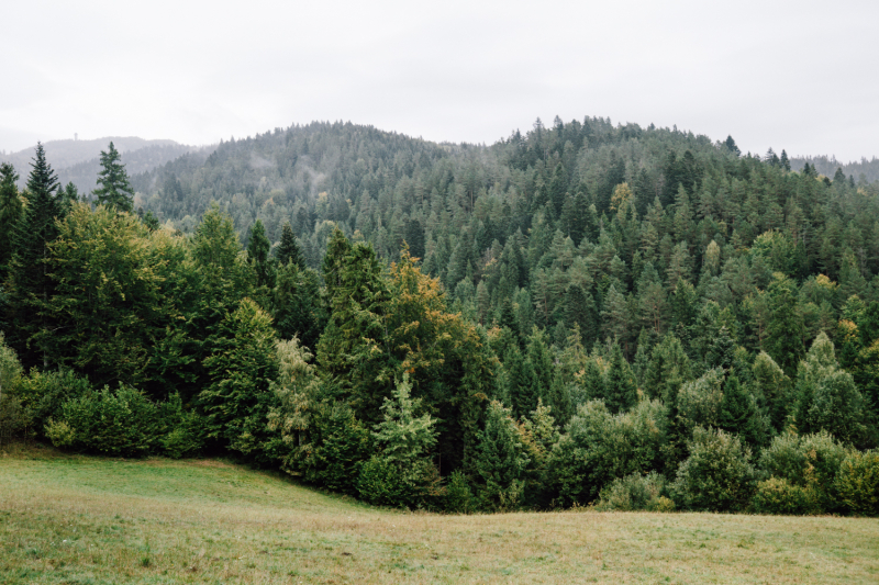 5-daagse-wandeling-malopolska