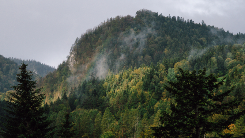 5-dagen-wandelen-pieniny-bergen
