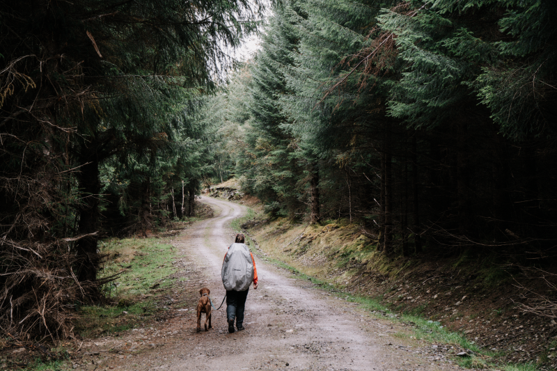 Huttentochten huttentochten