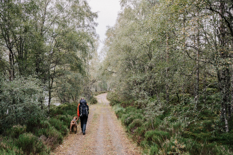 Affric Kintail Way Affric-Kintail-Way-tips