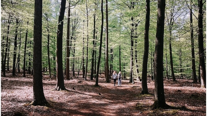 beste-tijd-hondsrugpad-wandelen