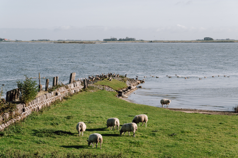 bocht-van-molkwar