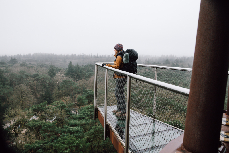 Bosbergtoren Appelscha