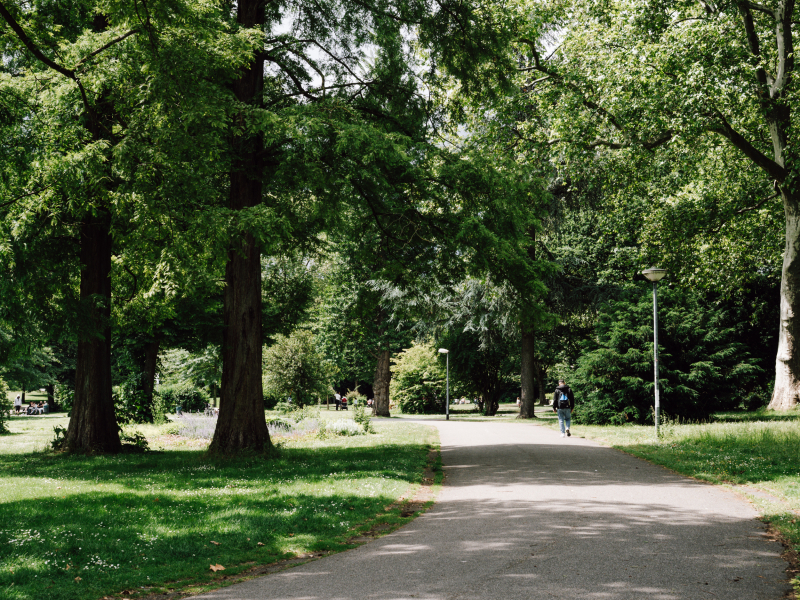 Dag wandelen bij Essen
