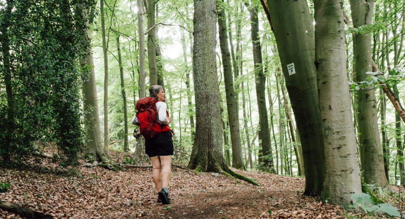 Dagwandelingen bij Essen in Duitsland