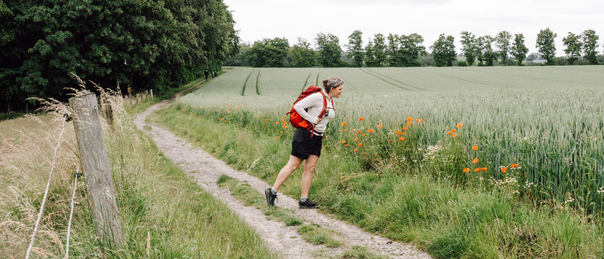 Dagwandelroutes bij Essen in Duitsland