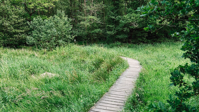 drentsche-aa-3-daagse-wandelroute