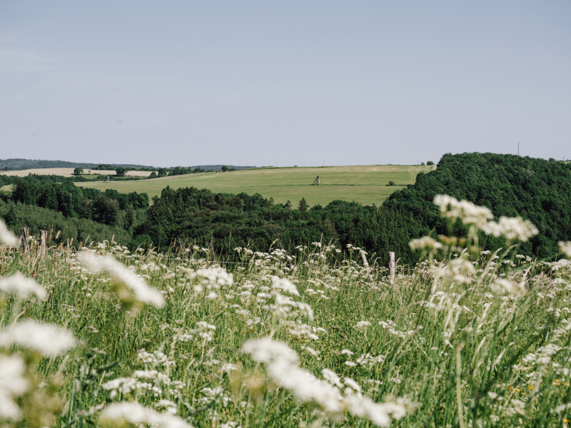 Meerdaagse hike Noordrijn-Westfalen