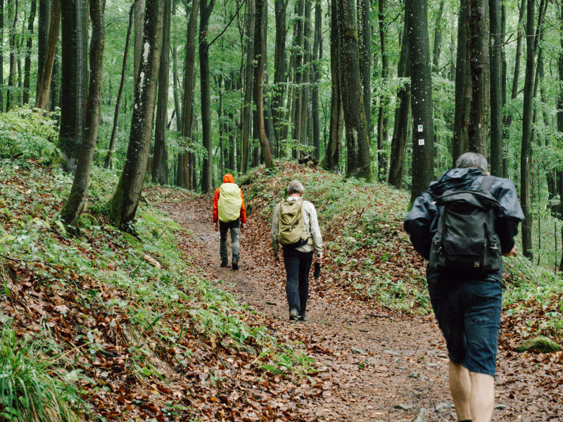 Eifelsteig naar Nettersheim Eifelsteig naar Nettersheim