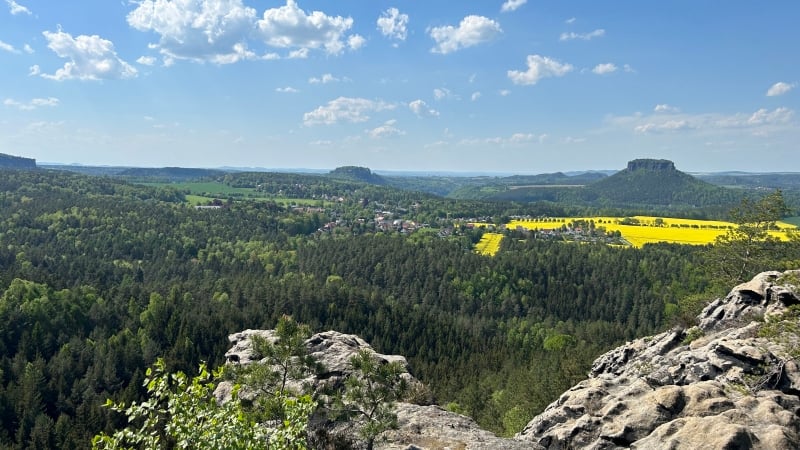 forststeig-beste-periode
