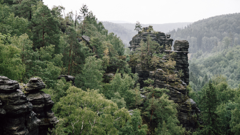 forststeig-duitsland