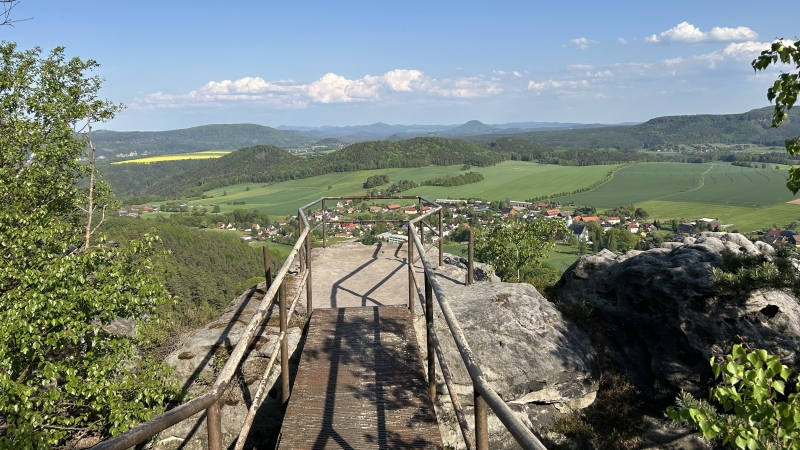 forststeig-met-hond
