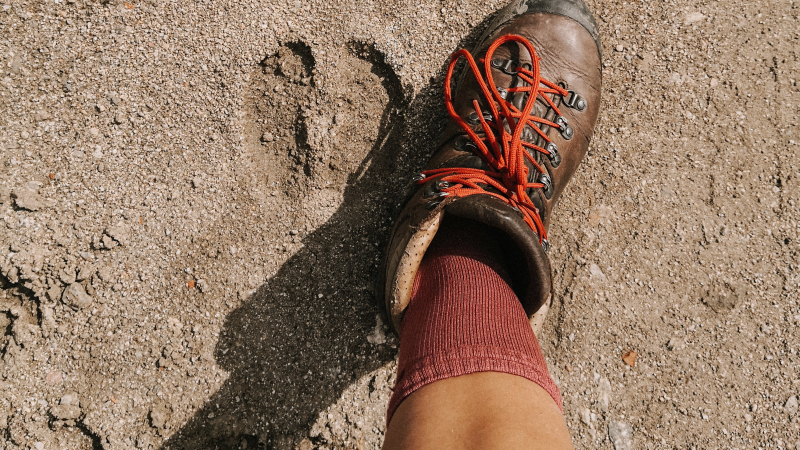 tips-wandelen-warme-dagen