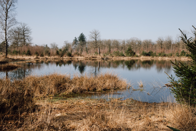GPX-bestand van de 100 km van Appelscha
