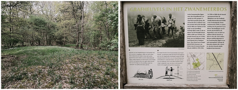 grafheuvels-drenthe