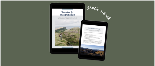 gratis stappenplan gratis-stappenplan