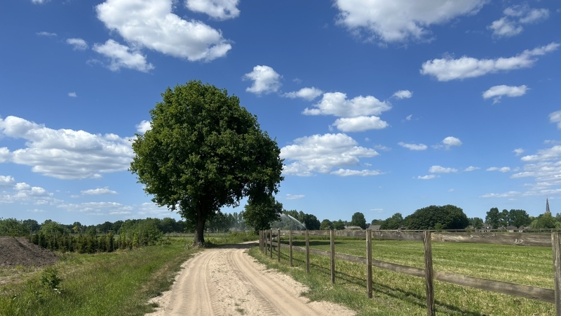 hond-mee-roots-natuurpad