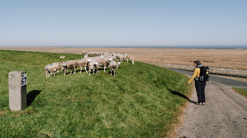 eenzaamheid-soloreis-voorkomen
