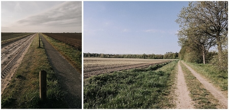 hondsrug-wandelen