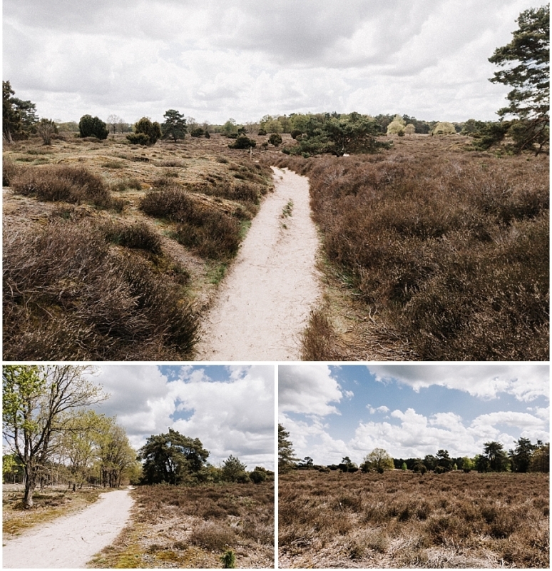 hondsrugpad-drouwenerzand