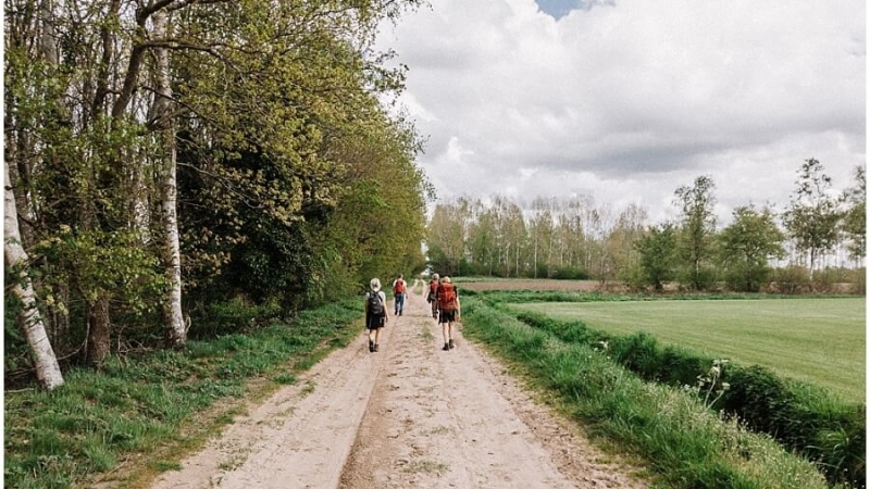 hondsrugpad-wandelroute