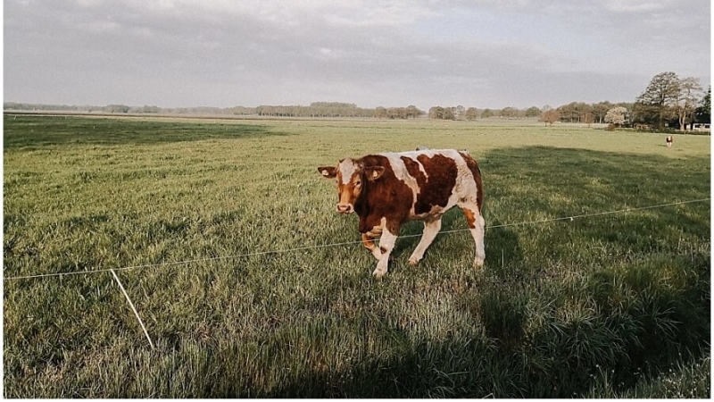 hunenweg-drenthe