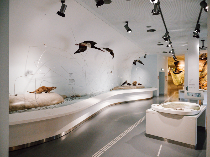 IP Vogelsang natuurmuseum langs de Eifelsteig IP Vogelsang natuurmuseum langs de Eifelsteig